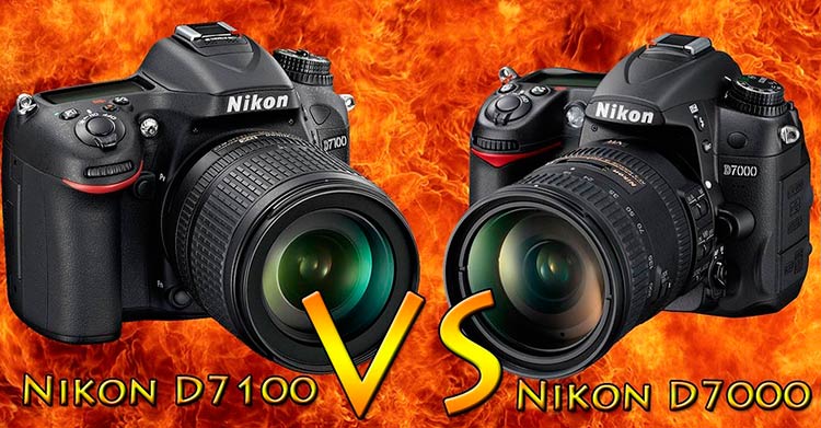 Nikon D7000 или Nikon D7100? nikon d7000 d7100, d7000 d7100
