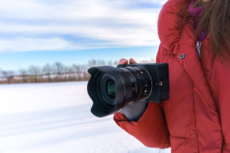 sigma 20mm f/2 hands