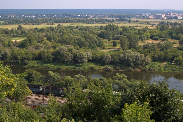 деревья canon 100d