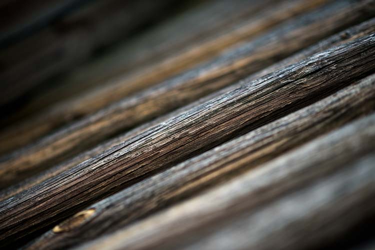 nikon d610 фото, фото 14