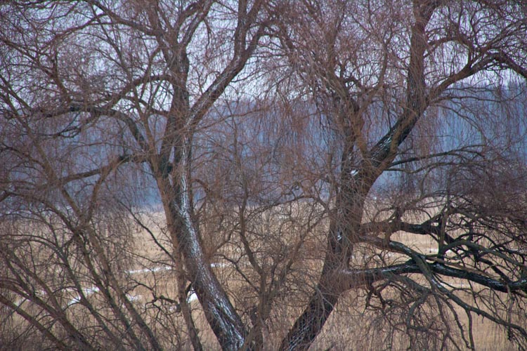 приближение 200mm