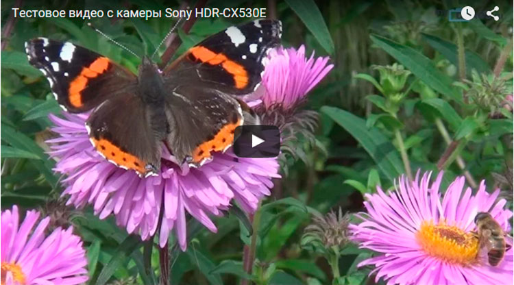видео sony hdr cx530e