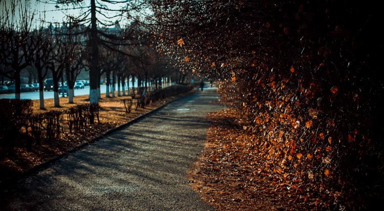 городской пейзаж canon 100d