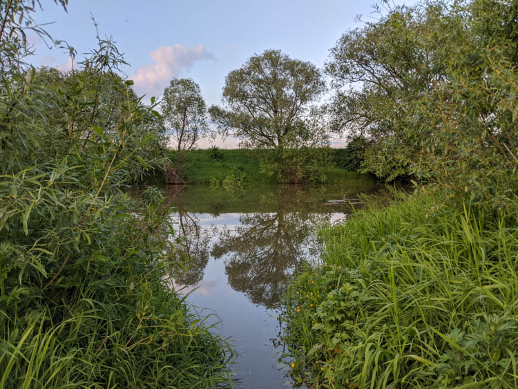 google pixel 2 фото 18