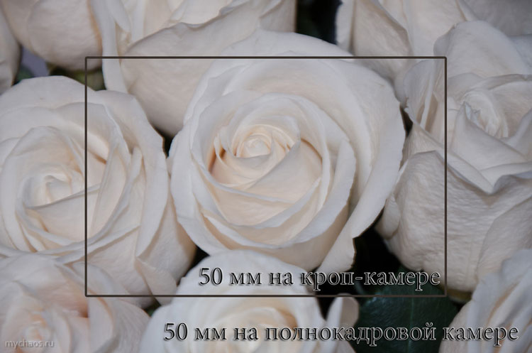 50mm на кропе и фф