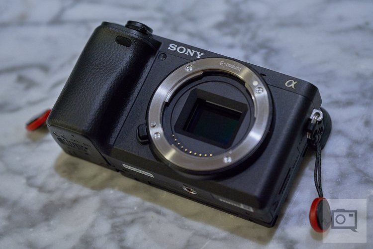 Беззеркальная камера Sony A6400 с объективом на дереве