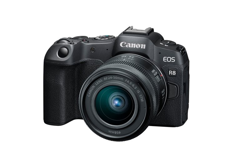 Canon EOS R8 с объективом RF 24–50 мм