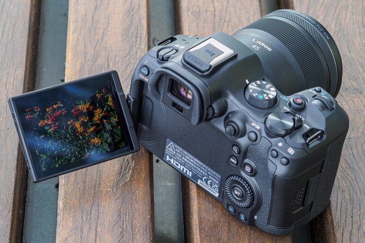 Задняя панель Canon EOS R6 Mark III с поворотным экраном
