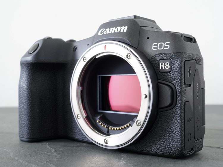 Полнокадровая матрица в корпусе Canon EOS R8