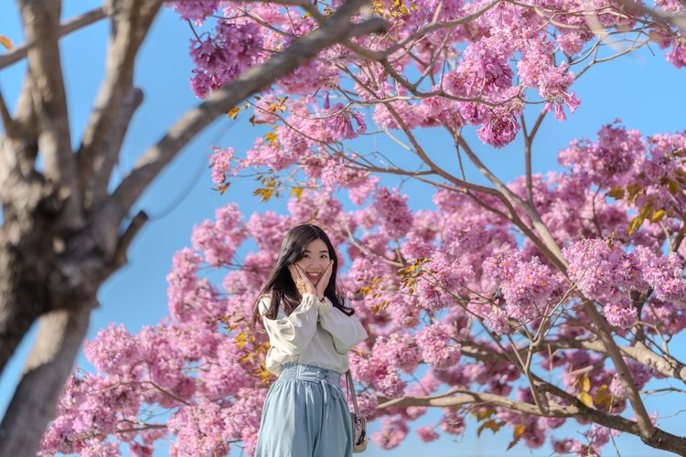 Портрет среди цветущих деревьев на Sigma 85mm F1.4 DG DN Art