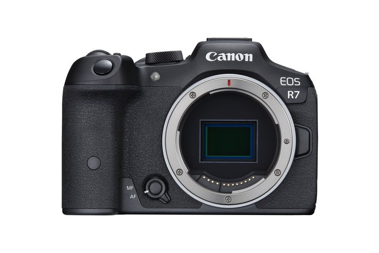 Беззеркальный фотоаппарат Canon EOS R7 без объектива